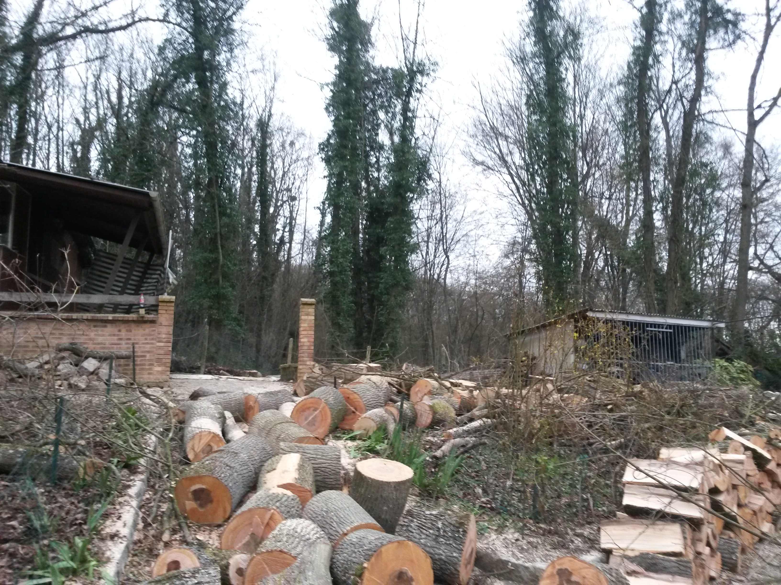 elagage abattage La Ferté sous Jouarre 77260